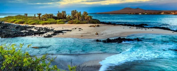 les secrets des Îles Galapagos pour l ecotourisme